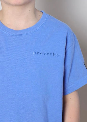 p r o v e r b s .